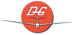 Logo DG